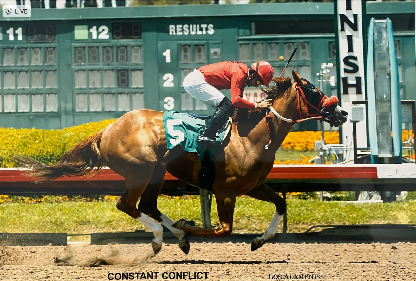 Constant Conflict crossing the finish line at Los Alamitos
