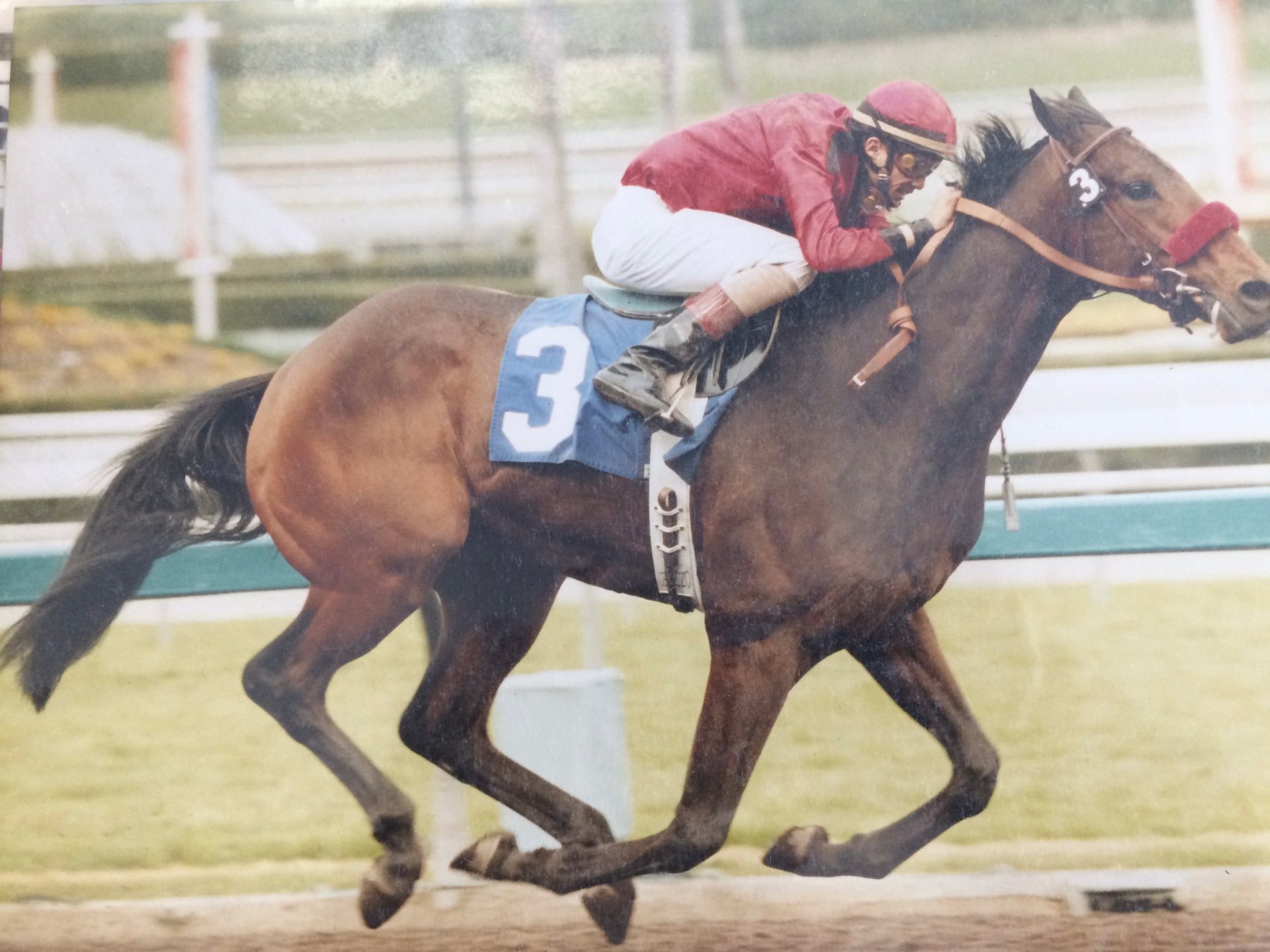 Killa 1 Racing runner winning under the red and white silks
