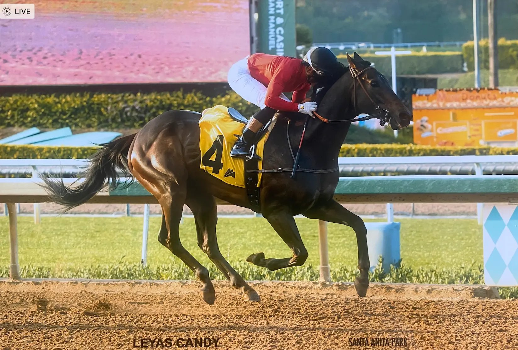 Leyas Candy driving to the wire at Santa Anita Park