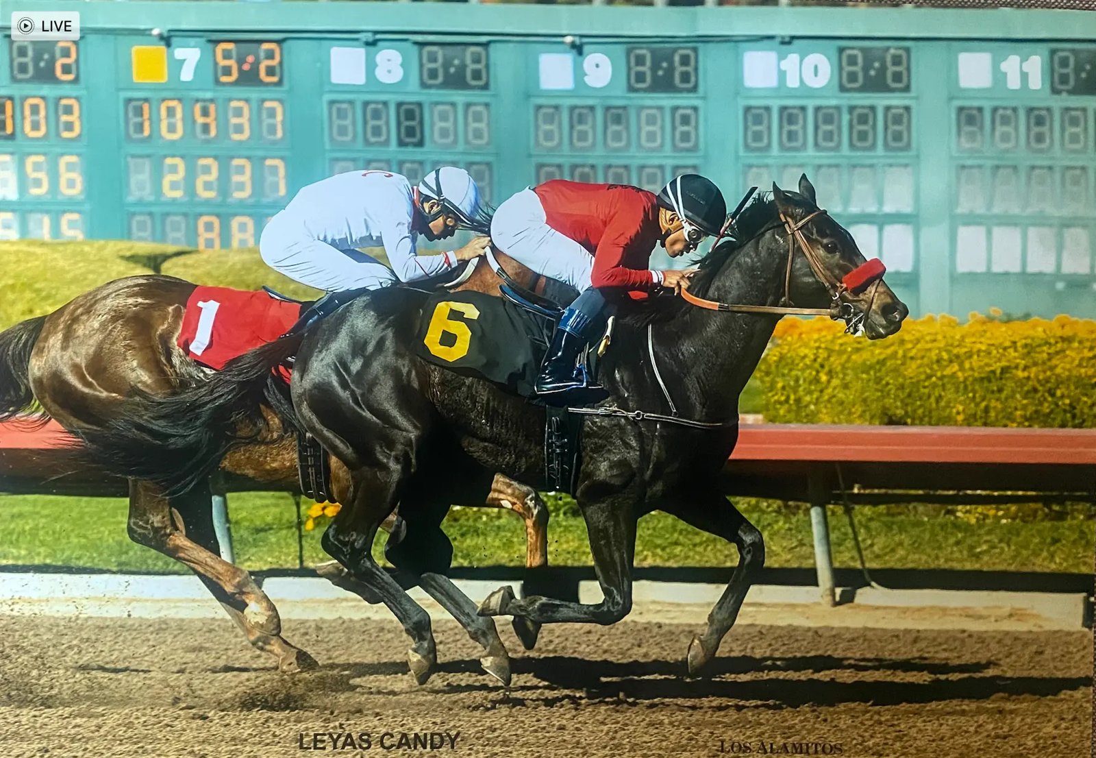 Leyas Candy racing under the lights at Los Alamitos