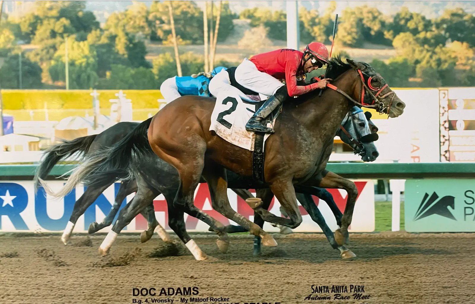 Doc Adams battling to the wire at the Santa Anita Park Autumn Race Meet