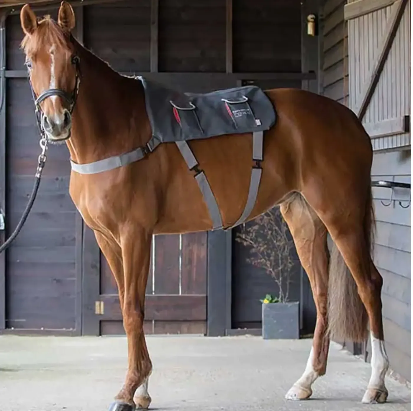 Equilibrium Therapy Massage Pad