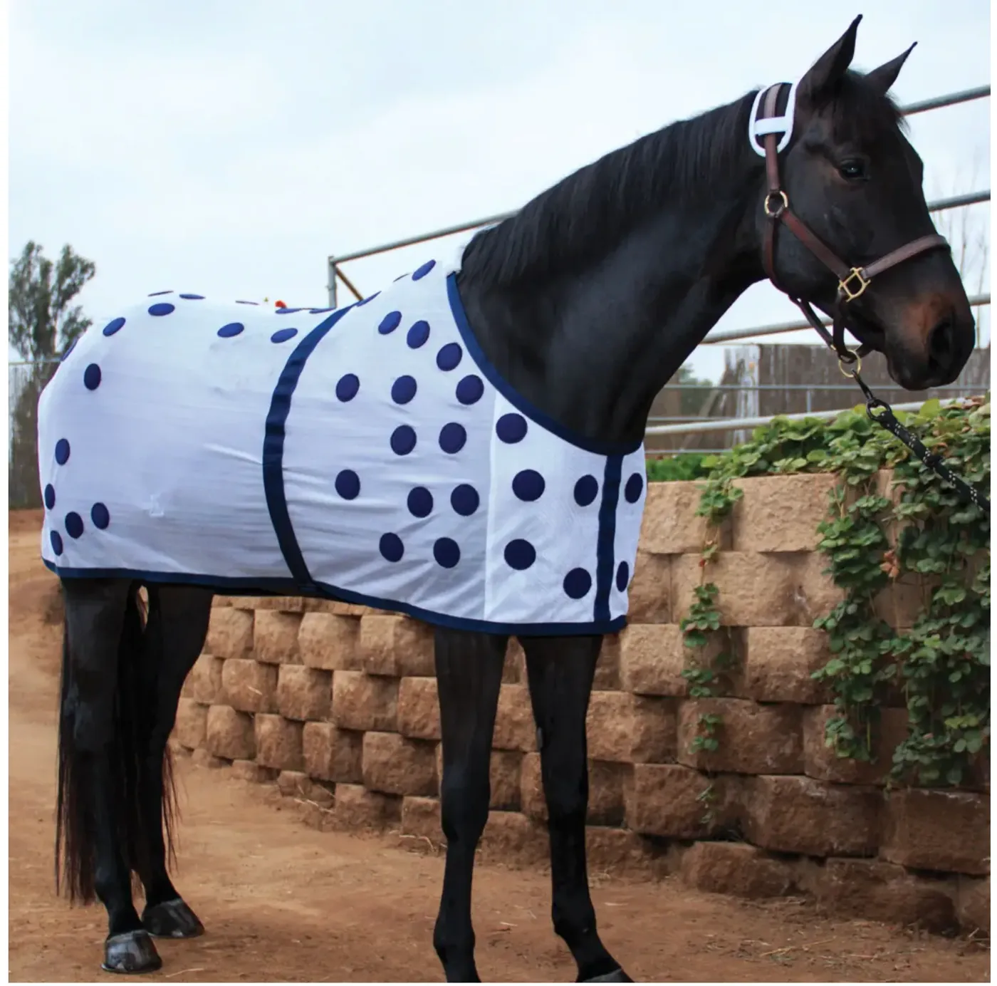 Professional's Choice Magnetic Blanket