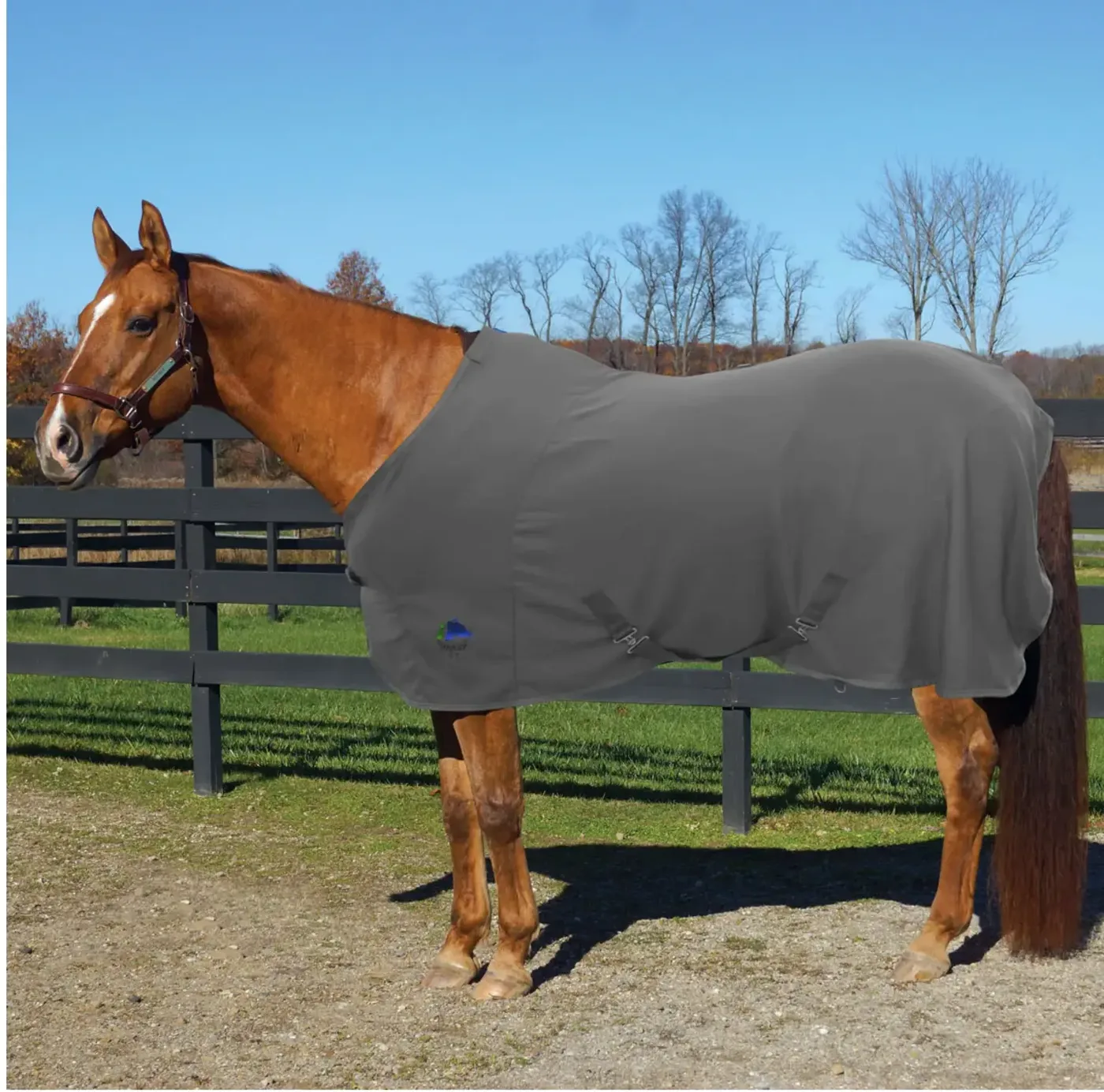 Fenwick Liquid Titanium Therapeutic Blanket