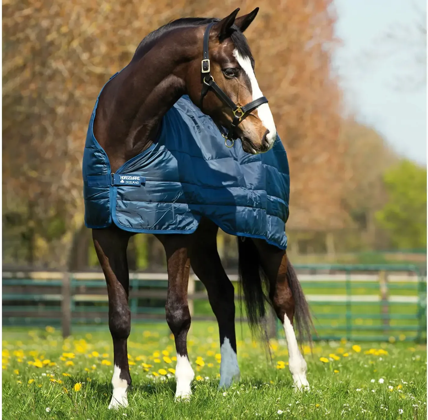 Horseware Blanket Liner