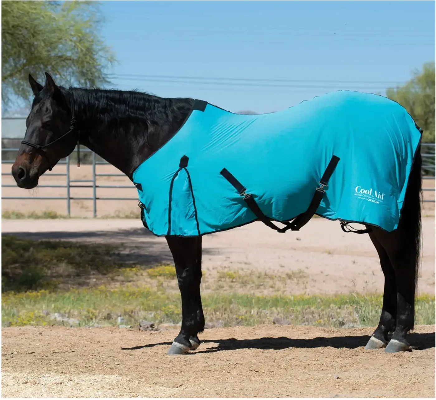 CoolAid Equine Cooling Blanket